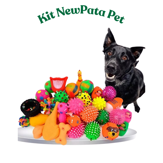 Kit Brinquedo para Pet Atacado 20 unidades Mordedores Pet Cães Cachorro Pequeno porte e filhotes(Sortidos)