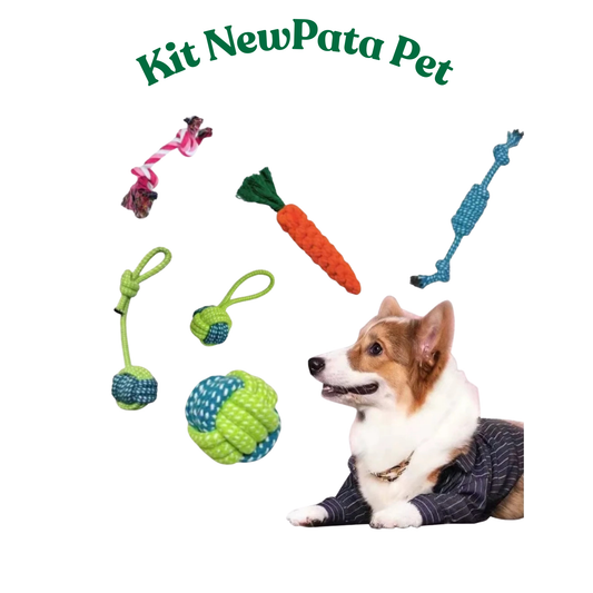 Brinquedo Pet Corda, kit com 6 Unidades , Mordedor para Cachorro, Resistente Interativo, Porte Médio