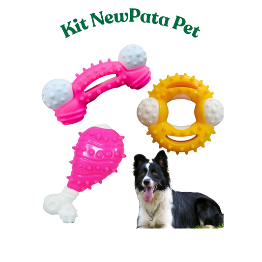 Kit Pet Brinquedo Resistente Osso Nylon Cachorro Cão Pet Forte Grande 3