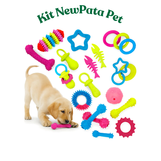 KIT BRINQUEDO PET MORDEDOR RESISTENTE CACHORRO ANTI ESTRESS
