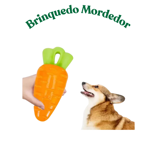 Brinquedo Mordedor Pet Cachorro Porta Petisco Resistente com Apito Vegetais Ajuda a Limpar os Dentes