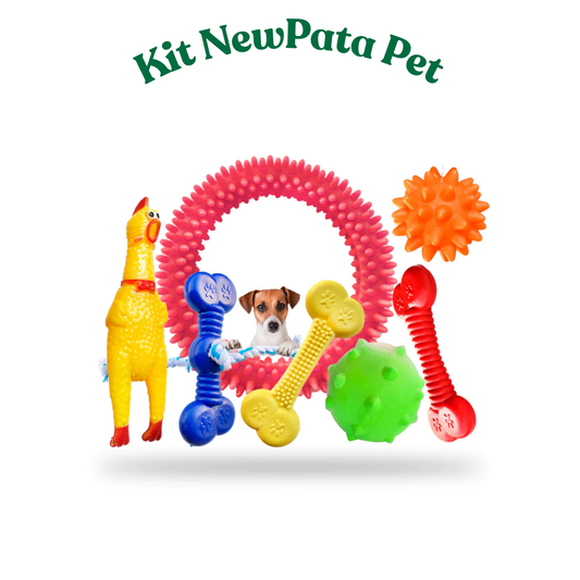 Brinquedo Pet Corda, kit com 6 Unidades , Mordedor para Cachorro,