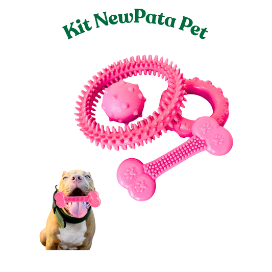 Kit Brinquedos Pet para Cachorro Mordedor de Borracha Maciço Resistente Anêmona, Pneu, Bola e Osso